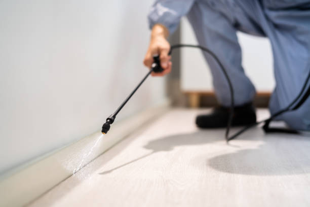 Licensed Mosquito Control service in Darien Downtown, CT - Show Me Pest Control