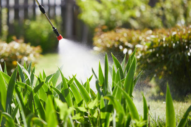 24/7 Emergency Mosquito Control experts in Darien Downtown, CT