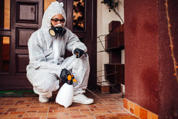Reliable Mosquito Control contractor in Darien Downtown, CT by Show Me Pest Control
